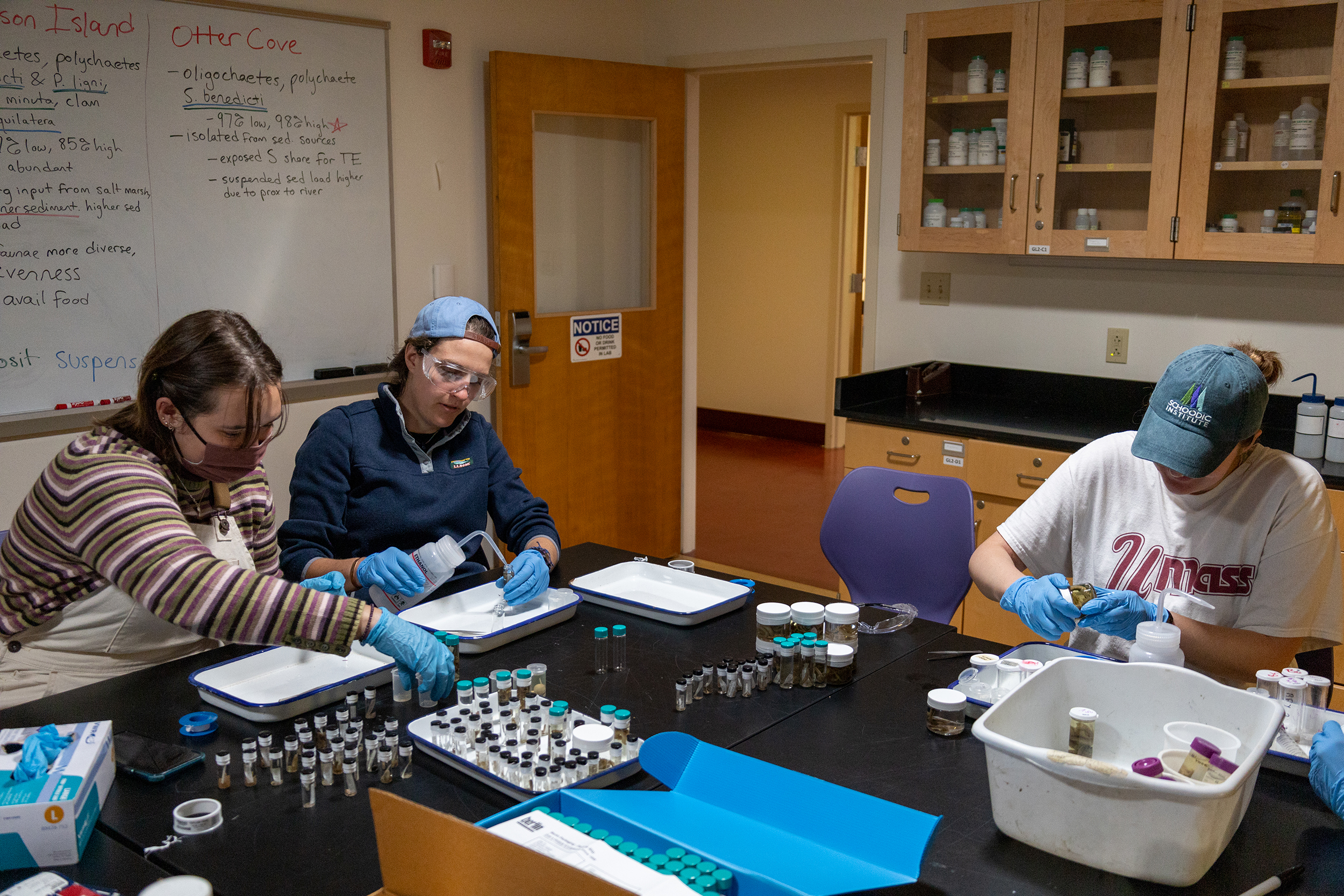 A group of people work in a science lab, collecting and sorting samples