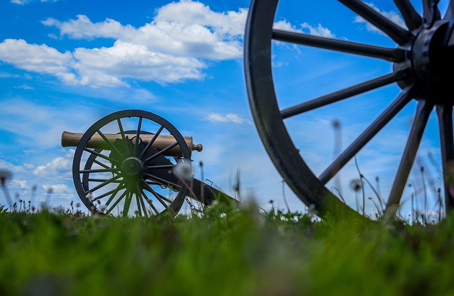 Two canons in a field with blurry blades of grass and dandelions dotting the foreground